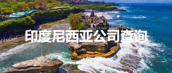 手把手教你查询调取印尼公司工商报告（含股东/董事/注册信息）