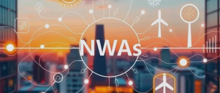 Non-Wires <em>Alternatives</em> (NWAs) in Modern Energy Systems