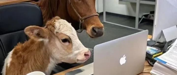 公司<em>数据</em>制作大<em>模型</em>训练<em>数据</em>集指南