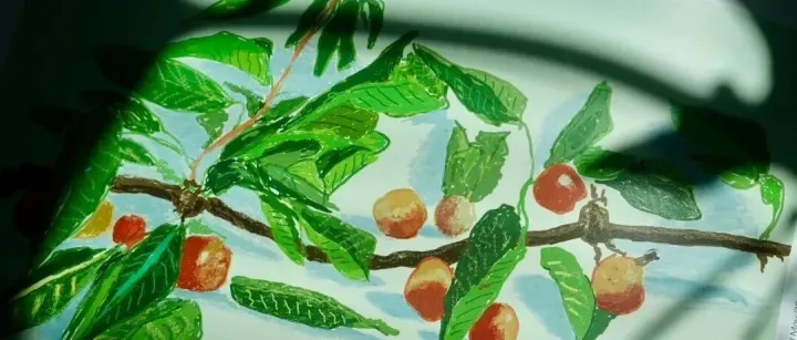 300+公司排队港交所   數碼港元究竟是什<em>麼</em>？<em>怎</em><em>麼</em>用？  歐美日股齊創新高