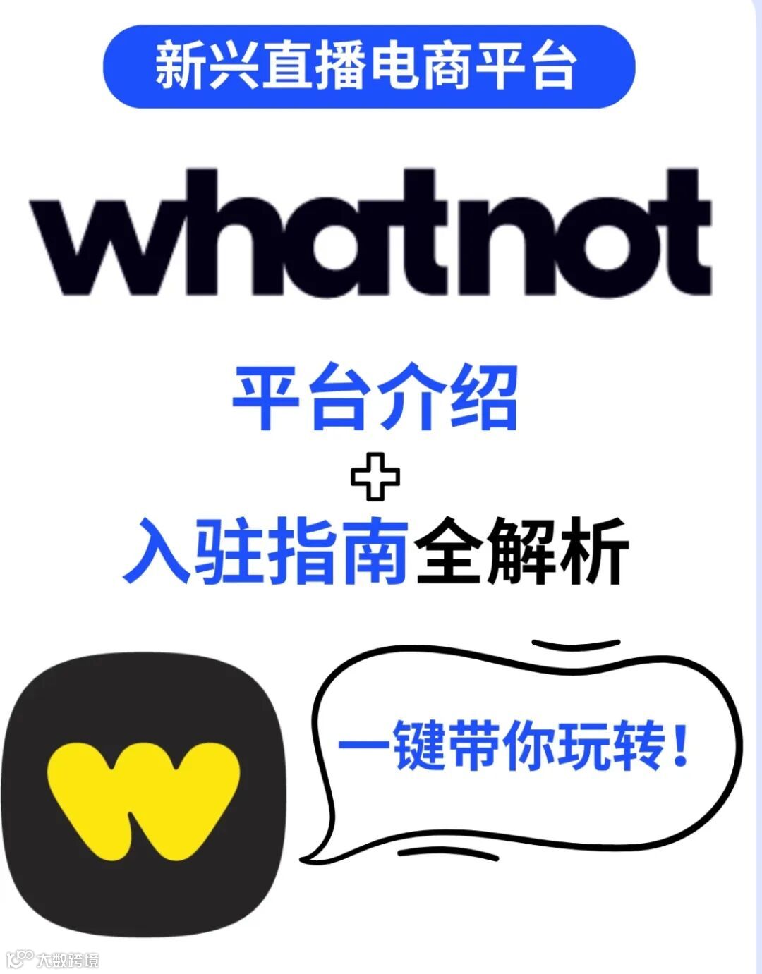 还在卷TikTok？这片跨境新蓝海，用直播拍卖正爆单- 大数跨境