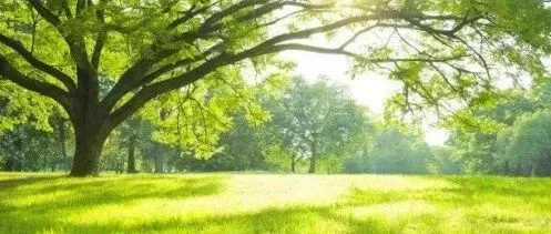 <em>国际</em>贸易学学习<em>框架</em>