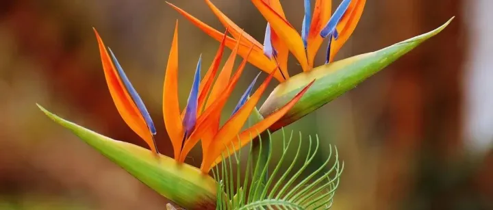 为啥Ex <em>Works</em>在有些地区退税会受阻？