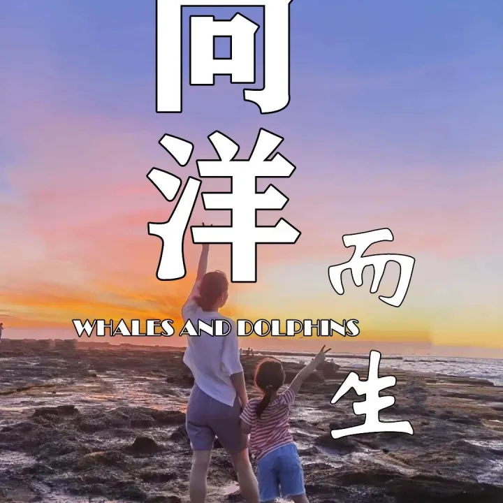 【一家一团*涠洲岛】出海寻鲸、追海豚、火山岛、<em>北海</em>银滩、赶海、下午茶、流下村、百年老街、火山地质公园...