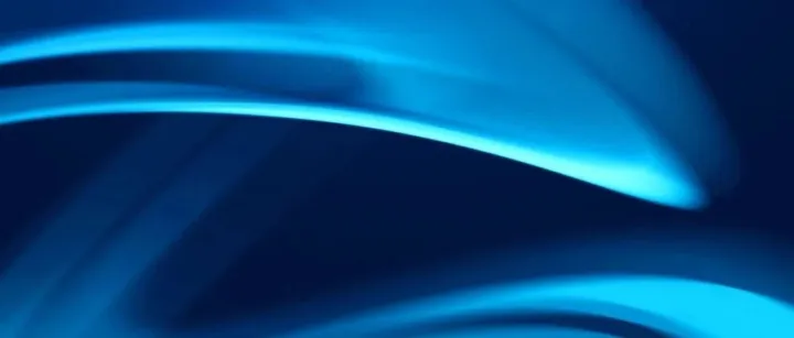 审计<em>双向</em>赋能破解<em>海外</em>风险