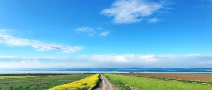 <em>LTC</em>流程深度解析：从战略到执行的全链路管理体系