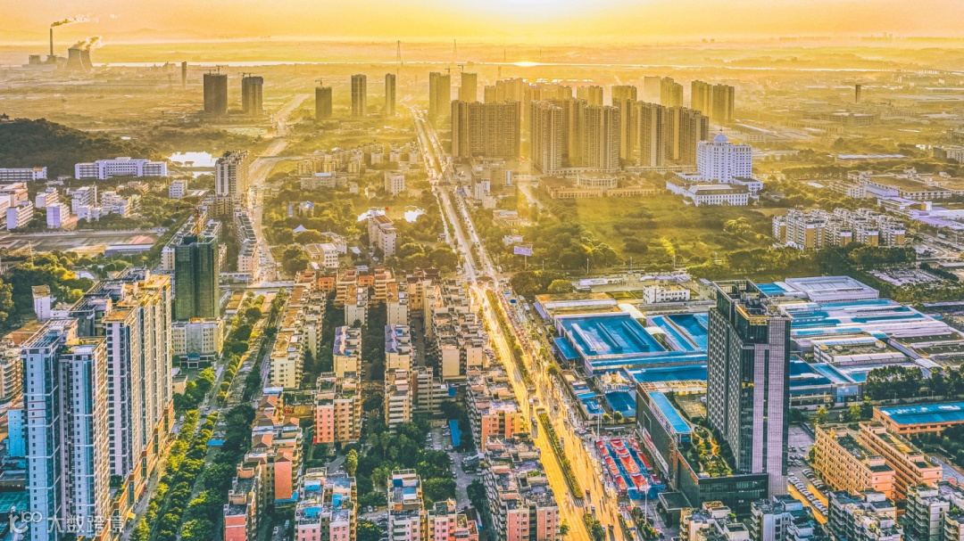 肇庆高新区。王振宇 摄