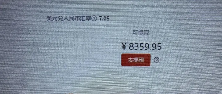 程序员中年失业，通过亚马逊赚取到 523.49 美元