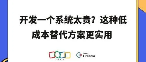 企业系统定制开发太贵？试试这个低成本解决方案