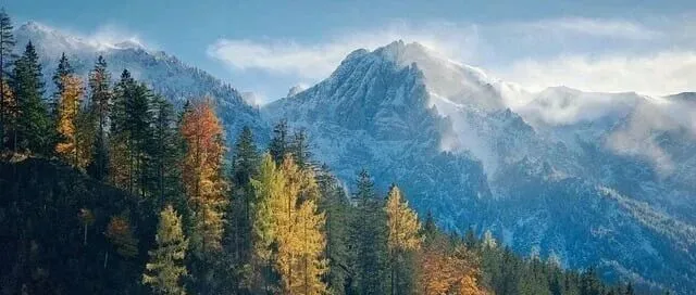 评论差利润高的产品，到底要不要碰？