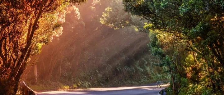 亚马逊产品开发失败的七大陷阱，你中招了吗？