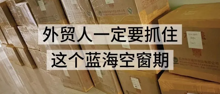 厦门的人为什么说Ozon被低估