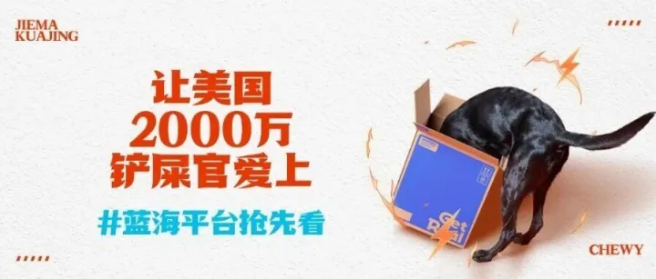 千亿美金的“它经济”蓝海，你还在观望吗？