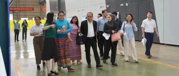 Guangxi Agricultural Enterprises Accelerates "<em>Going</em> Global"