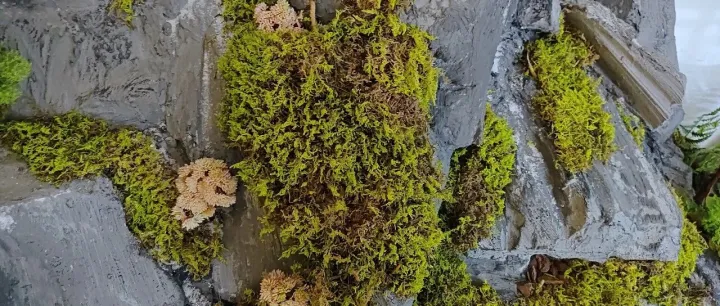 工厂的尽头是贸易，贸易的尽头是工厂