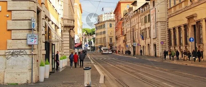 网络信息的查询