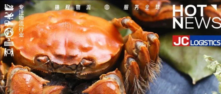 批准入华！挪威国务秘书于进博会正式官宣！