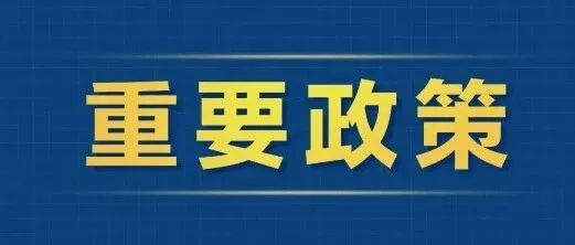 新能源要这样发展！