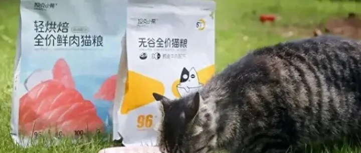 2025年<em>猫</em>粮推荐口碑排行榜前十名！看看都有哪些