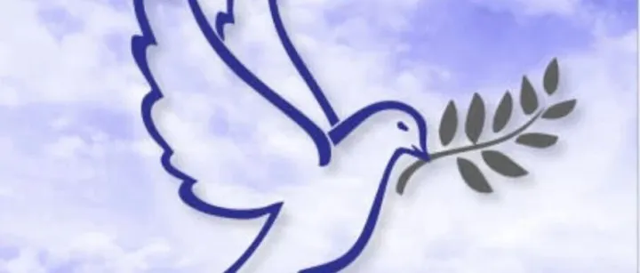 总统赦免赵长鹏：法律效力、深层影响与中加可能反应 Trump’s Pardon of Changpeng “CZ” Zhao