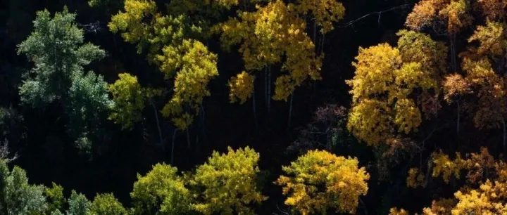 哈萨克斯坦：伊<em>塞</em><em>克</em>峡谷和伊<em>塞</em><em>克</em>湖的秋日画卷