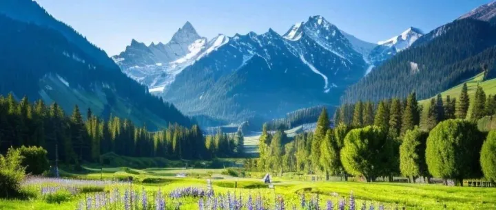 大宗贸易乱象下的虚假繁荣与风险陷阱