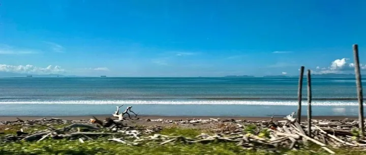 10 个高回复率外贸开发信模板（二)