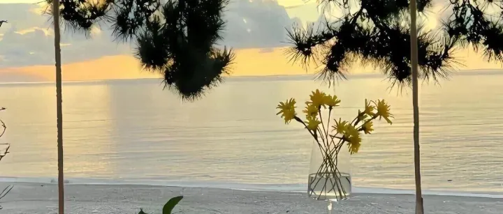 <em>酒店</em>预订便宜技巧：美团<em>酒店</em>、去哪儿<em>酒店</em>、携程<em>酒店</em>、飞猪<em>酒店</em>、同程<em>酒店</em>订<em>酒店</em>特惠方法