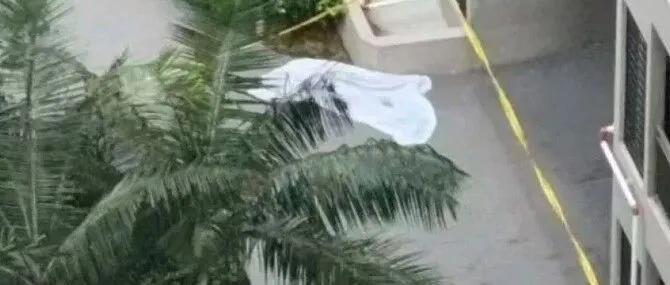 一名中国籍留学生今晨在大马坠亡 警方公开征集线索