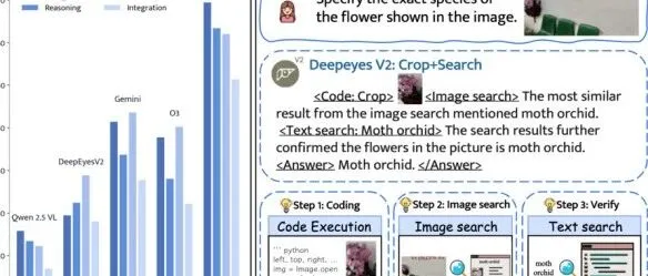 小红书提出DeepEyesV2，从“看图思考”到“工具协同”，探索多模态智能新维度
