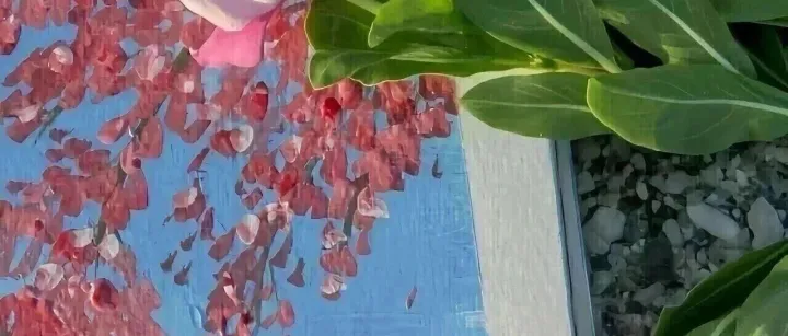 附近500米<em>酒店</em>住宿推荐，邀您入住便捷<em>酒店</em>