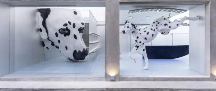 <em>韩国</em><em>品牌</em>，为什么爱在上海开店？