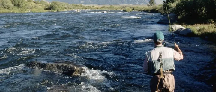 国外钓鱼佬市场，「读路者」百万种子轮融资，专注于中国-东非跨境贸易，叠溪科技宣布完成种子轮300万融资。