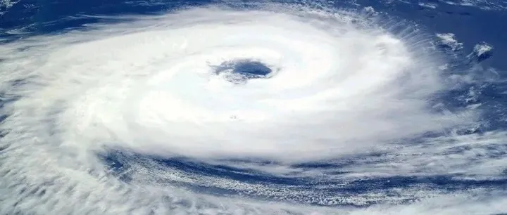 在海上货物运输过程中遭遇台风是否一定免责？