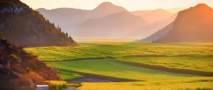 6000万元买来空气与水，国企风控的致命漏洞