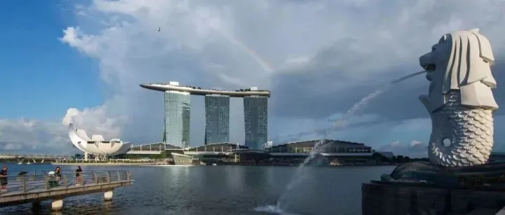 CAEXPO in Focus | <em>Singapore</em>