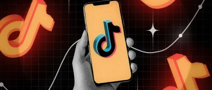 TikTok Shop店铺<em>审核</em>与IP相关性：如何避免注册<em>失败</em>？