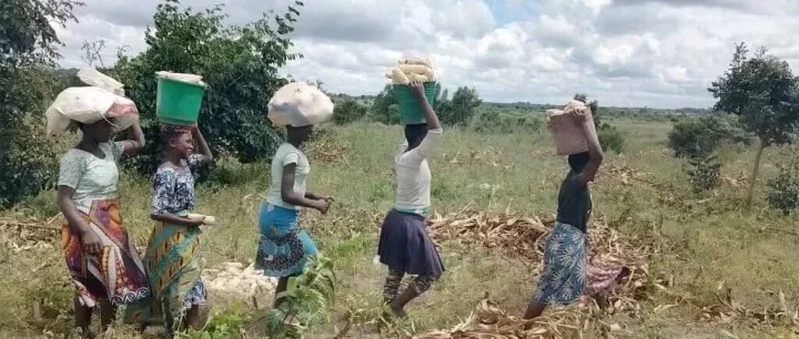 马拉维总统宣布全国所有地区进入灾难状态。