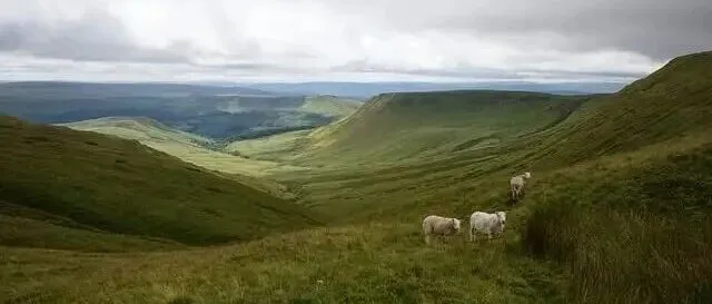 亚马逊从流量到转化的全链路优化