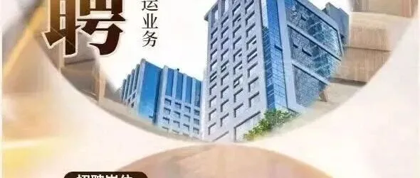 青岛<em>盛世</em>铭远<em>国际</em>物流广纳贤才 深耕<em>国际</em>航运市场