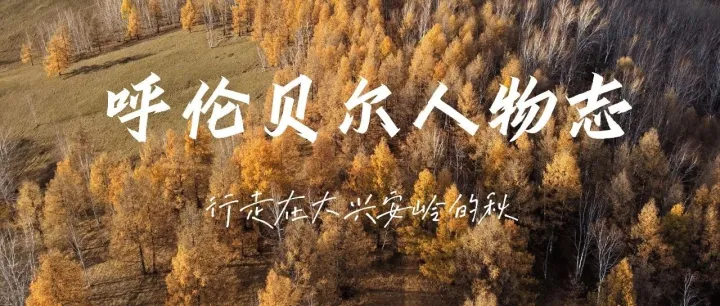 【步凡 | 呼伦贝尔人物志】行走在<em>大兴安岭</em>的秋