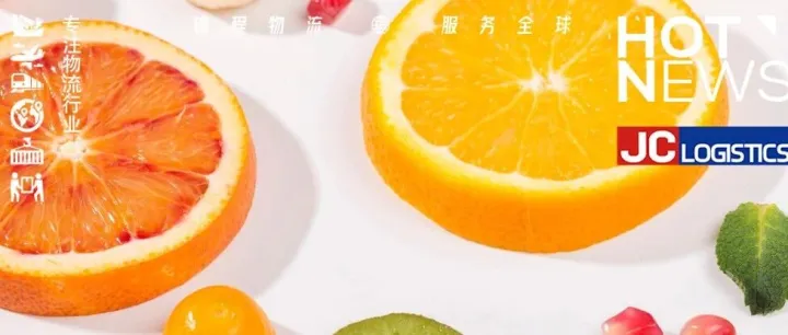 农食贸易同比增长8.9%！中国-东盟协作盘活冷链运输网络！