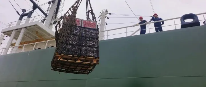 跨越8000海里去送菜，破解远洋船员“吃菜难”！