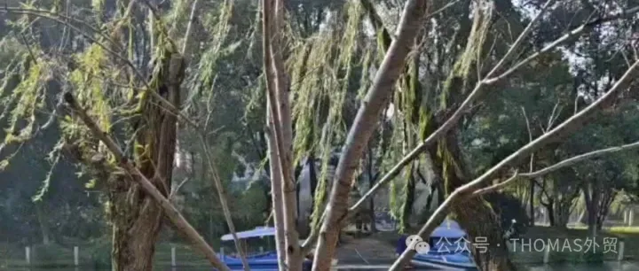 坑，拦路虎拖后腿，团队