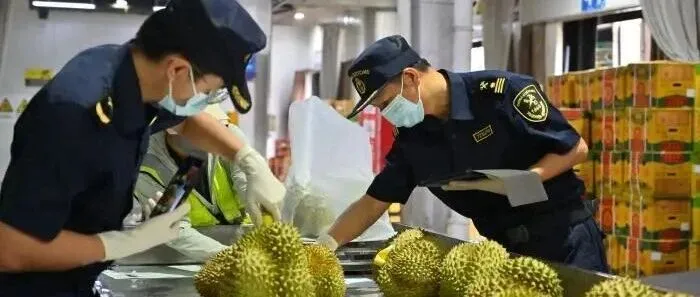 “果篮子”越做越大 我国近七成进口瓜果来自东盟