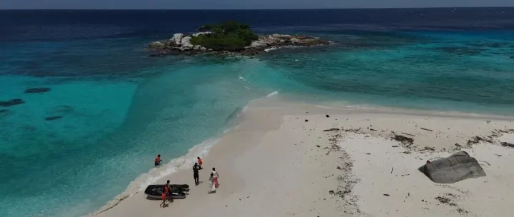 主动出击，边学边干