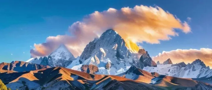 大宗商品贸易成虚假与重复融资重灾区的真相