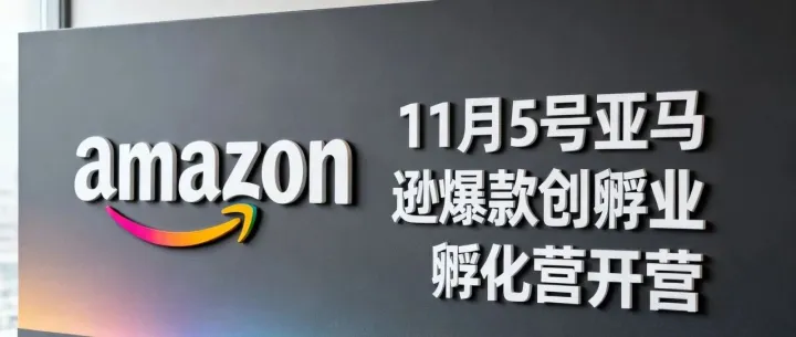 Listing编辑权总被抢？3步筑起"防火墙"！11月5号亚马逊孵化营开营
