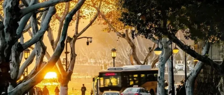 “落叶不扫”的西湖，让你拥有一个不扫兴的秋