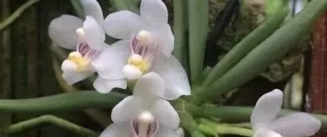 <em>value</em>函数的作用